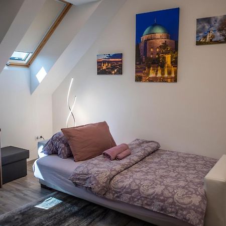 Zsuka Apartman Free Parking Pécs Eksteriør bilde